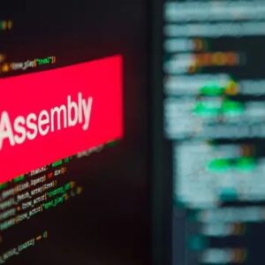 Programming : Assembly Programming Language