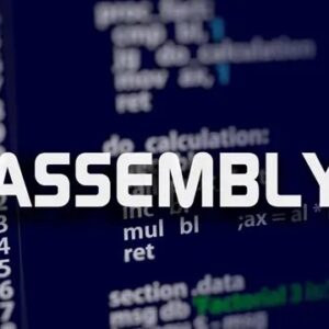 Programming with Assembly Language