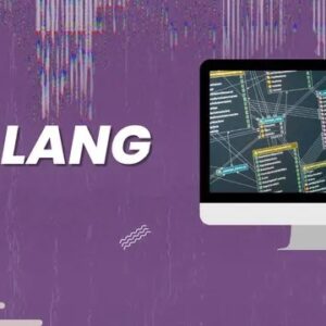 Programming (Programming with Google Go Language)